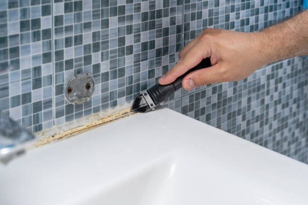 Best Professional Mold Removal  in Shawneetown, IL