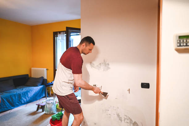 Best Best Mold Removal Companies  in Shawneetown, IL